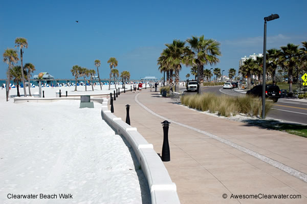 Download this Clearwater Beach Activities picture