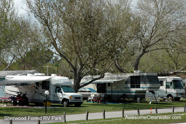 Sherwood Forest RV Park in Palm Habor near Clearwater