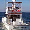 Gulfstream II Fishing Charter Boat image