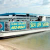 Sea Life Safari boat image
