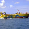 Sea Screamer Speed Boat image