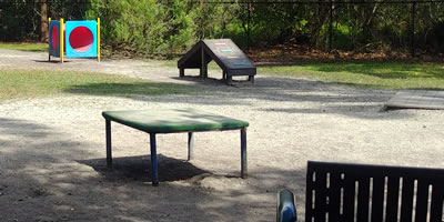 Clearwater dog park image