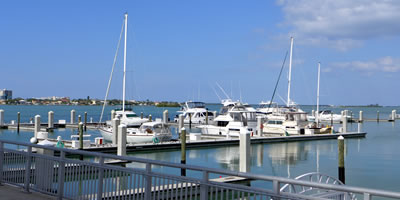 Clearwater Harbor Marina image