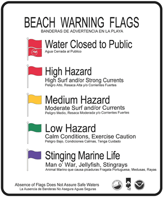 Beach warning flags image