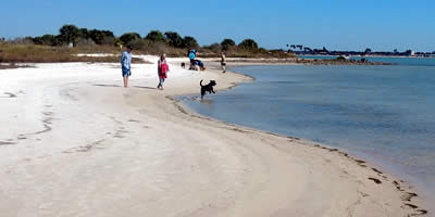 Dog Beach Honeymoon Island image