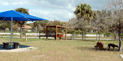 Sand Key dog park